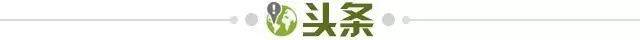 世界杯官方入口更新-【早报】逼平袋鼠，练帅初见成效？国足找到最强11人！